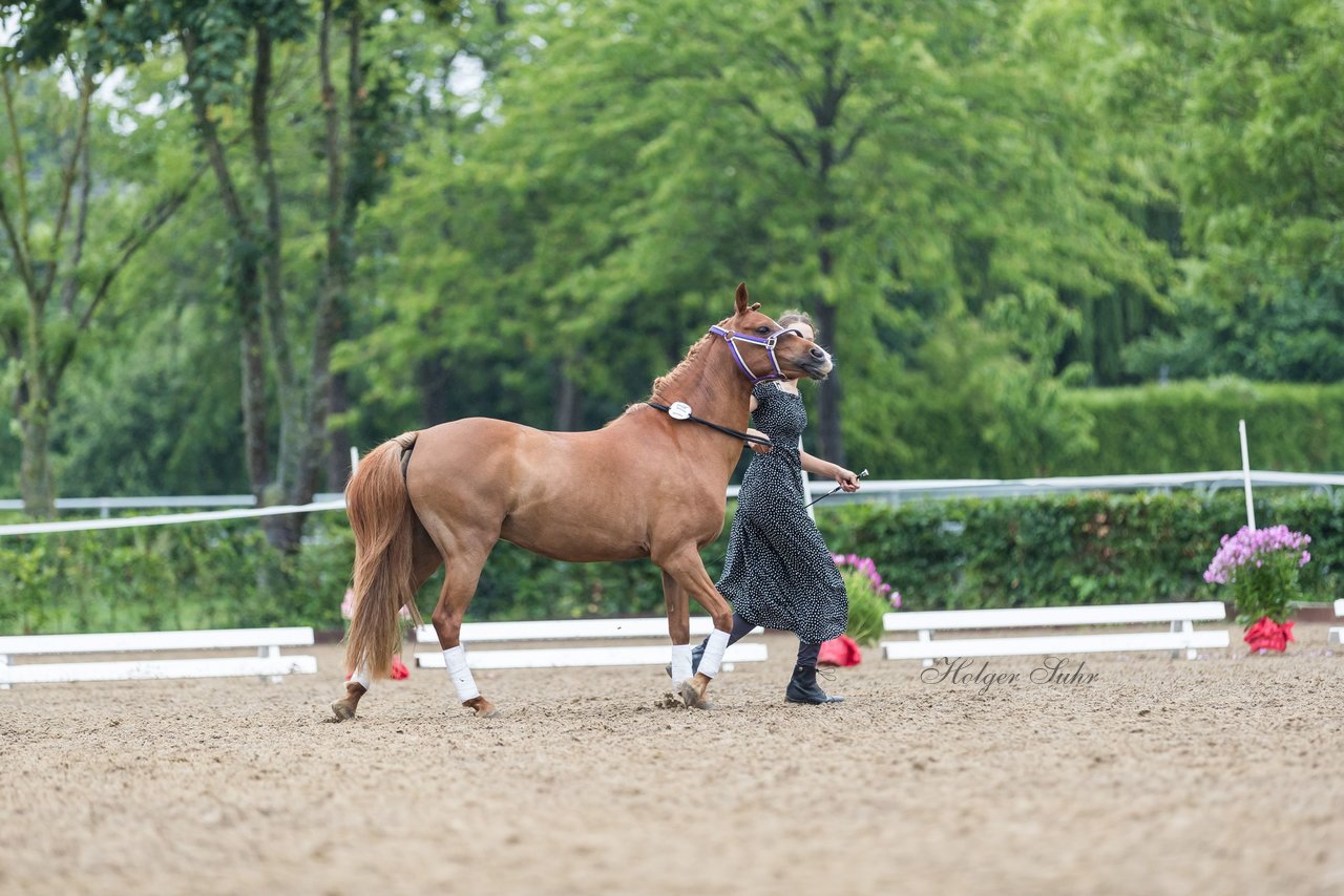 Bild 137 - Pony Akademie Turnier
